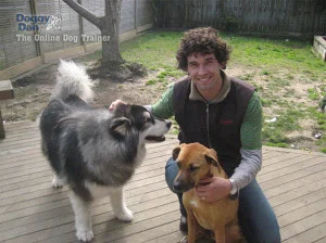 Online dog training with Dan Abdelnoor