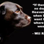 Dog quotes Will Rogers - "If there are no dogs in Heaven, then when I die I want to go where they went."