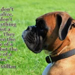“Dogs don’t rationalize. They don’t hold anything against a person. They don’t see the outside of a human but the inside of a human.” —Cesar Millan boxer looking pic
