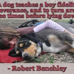 “A dog teaches a boy fidelity, perseverance, and to turn around three times before lying down.” - Robert Benchley dog and boy laying down