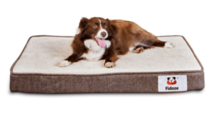 Nest Bedding Dog Bed